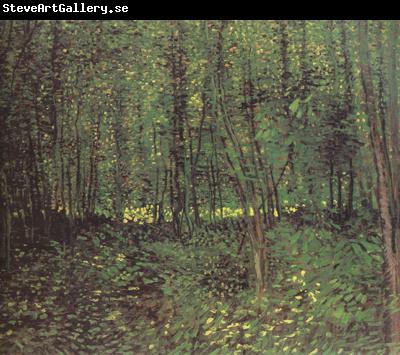 Vincent Van Gogh Trees and Undergroth (nn04)